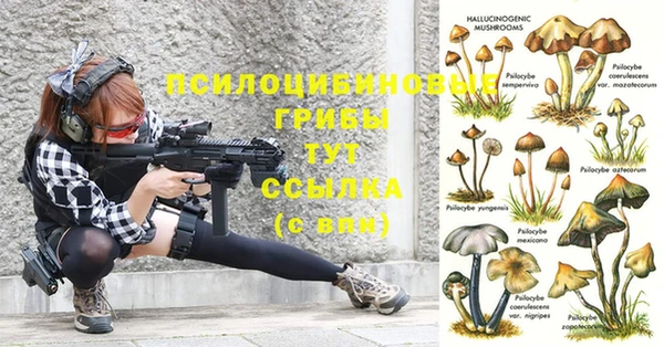 твердый Семёнов