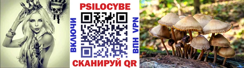 Псилоцибиновые грибы Magic Shrooms  Железногорск-Илимский 